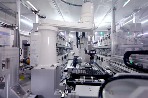 未來(lái)已來(lái) 深度長(zhǎng)虹 ai 全生態(tài)競(jìng)速重塑產(chǎn)業(yè)格局